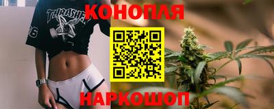 дмт Краснознаменск